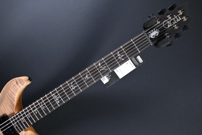 PRS Wood Library Custom 24 Semi-Hollow One-Piece Artist Grade Top Frostbite #013