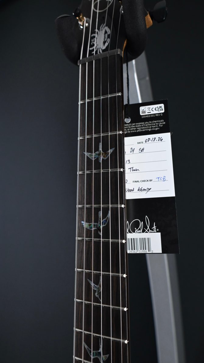 PRS Wood Library Custom 24 Semi-Hollow One-Piece Artist Grade Top Frostbite #013