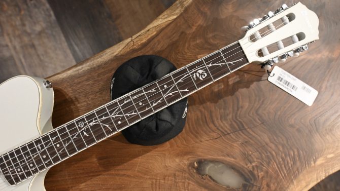 Ibanez TOD10N-SMF Silver Metallic Flat #754