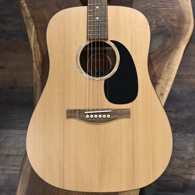Eastman PCH1-D Dreadnought Natural #677