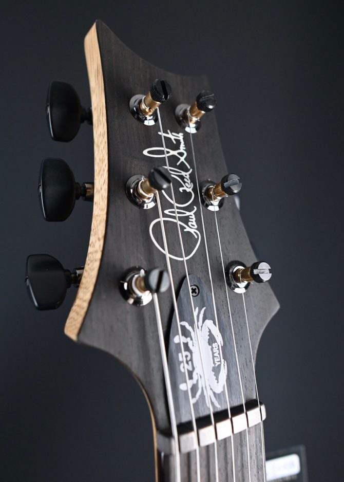 PRS Wood Library Custom 24 Semi-Hollow One-Piece Artist Grade Top Frostbite #013