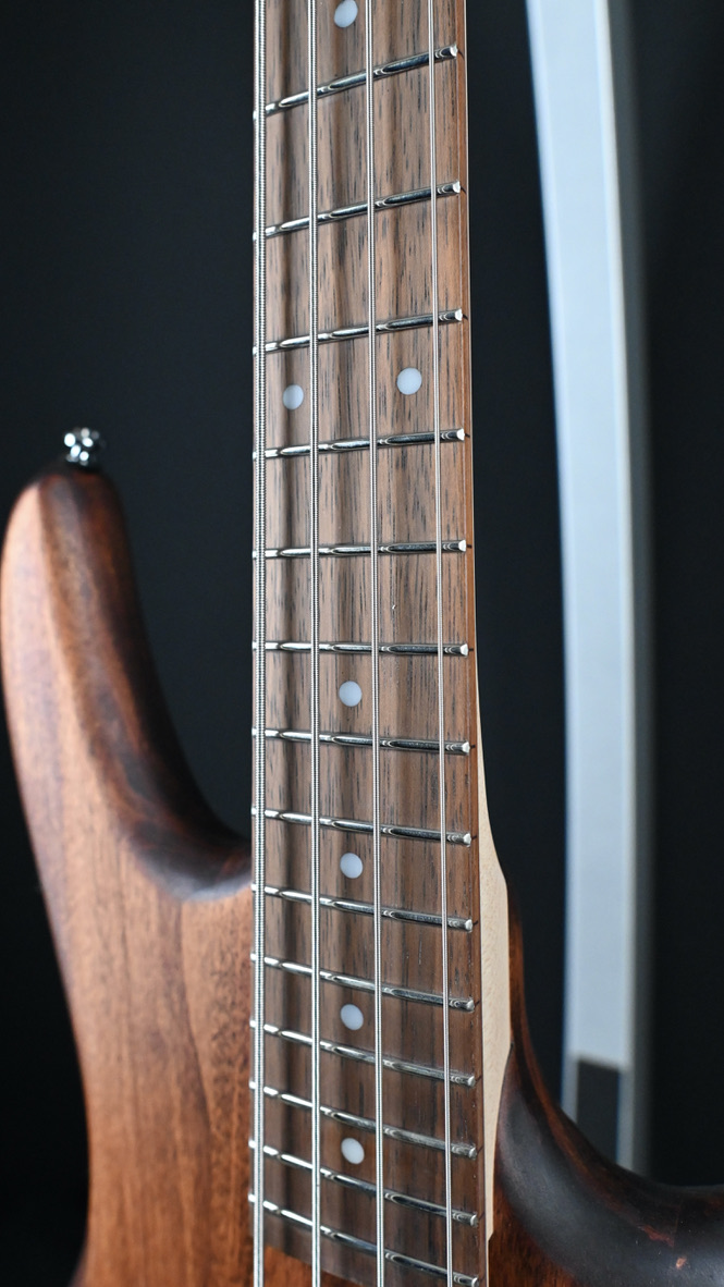 Ibanez Gio Series GSR100EX-MOL Mahogany Oil #652