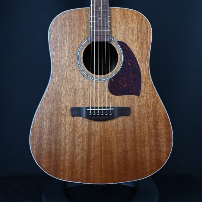Ibanez PF54-OPN Open Pore Natural #371