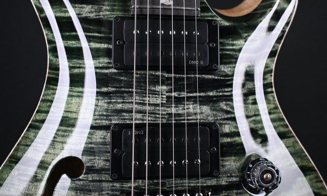 PRS Wood Library Custom 24 Semi-Hollow 10-Top Sage #012