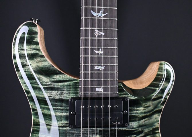 PRS Wood Library Custom 24 Semi-Hollow 10-Top Sage #012
