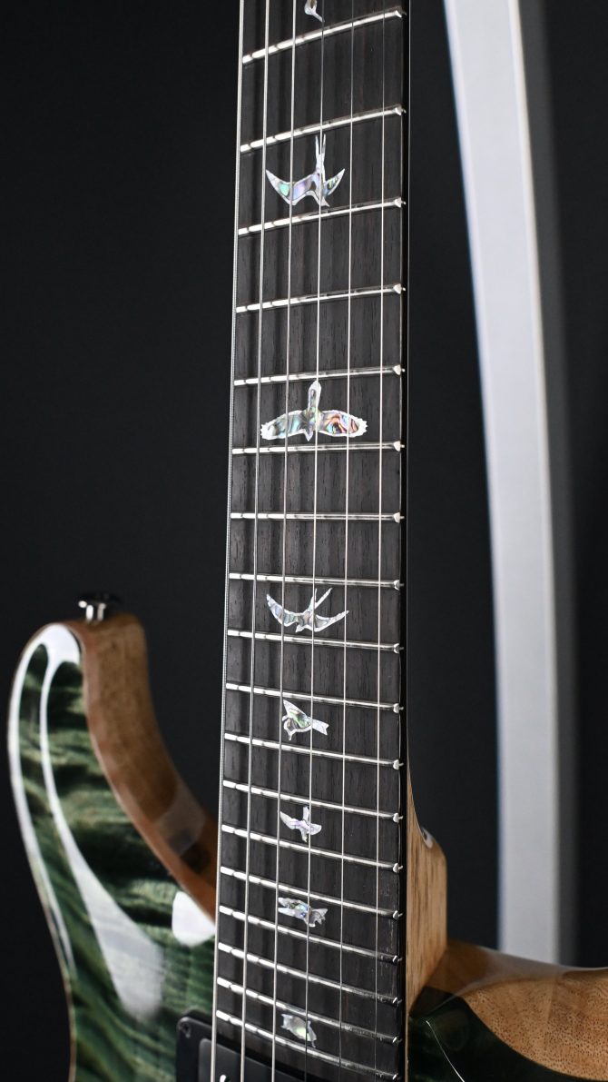 PRS Wood Library Custom 24 Semi-Hollow 10-Top Sage #012