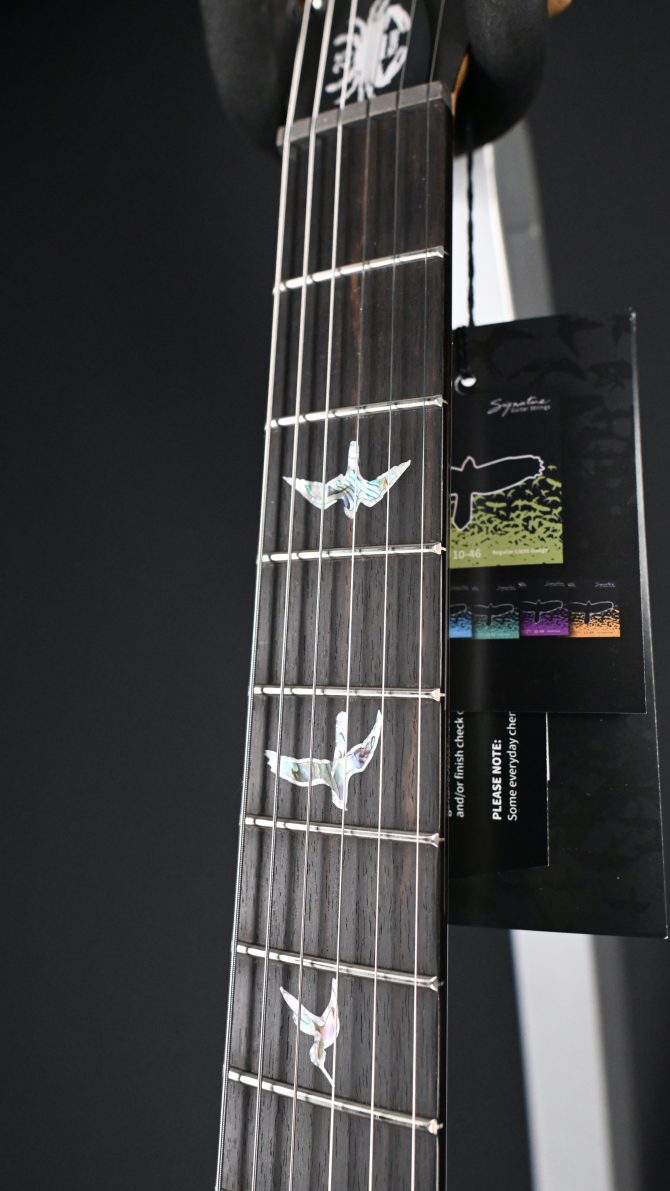 PRS Wood Library Custom 24 Semi-Hollow 10-Top Sage #012
