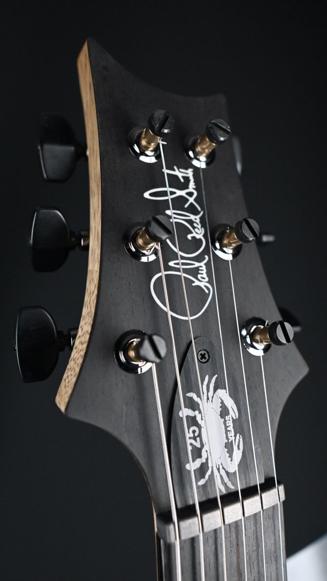 PRS Wood Library Custom 24 Semi-Hollow 10-Top Sage #012