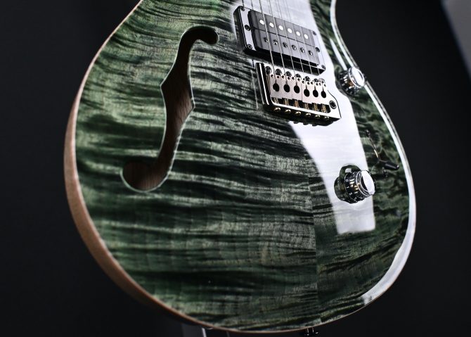 PRS Wood Library Custom 24 Semi-Hollow 10-Top Sage #012