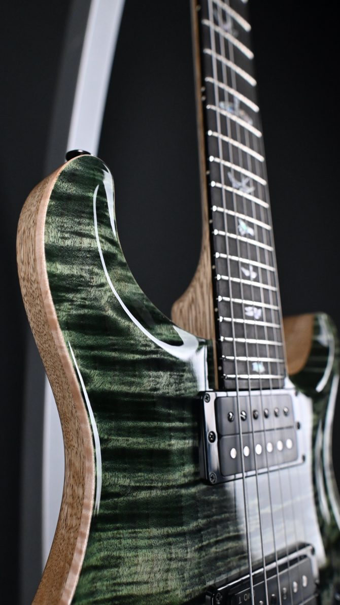 PRS Wood Library Custom 24 Semi-Hollow 10-Top Sage #012