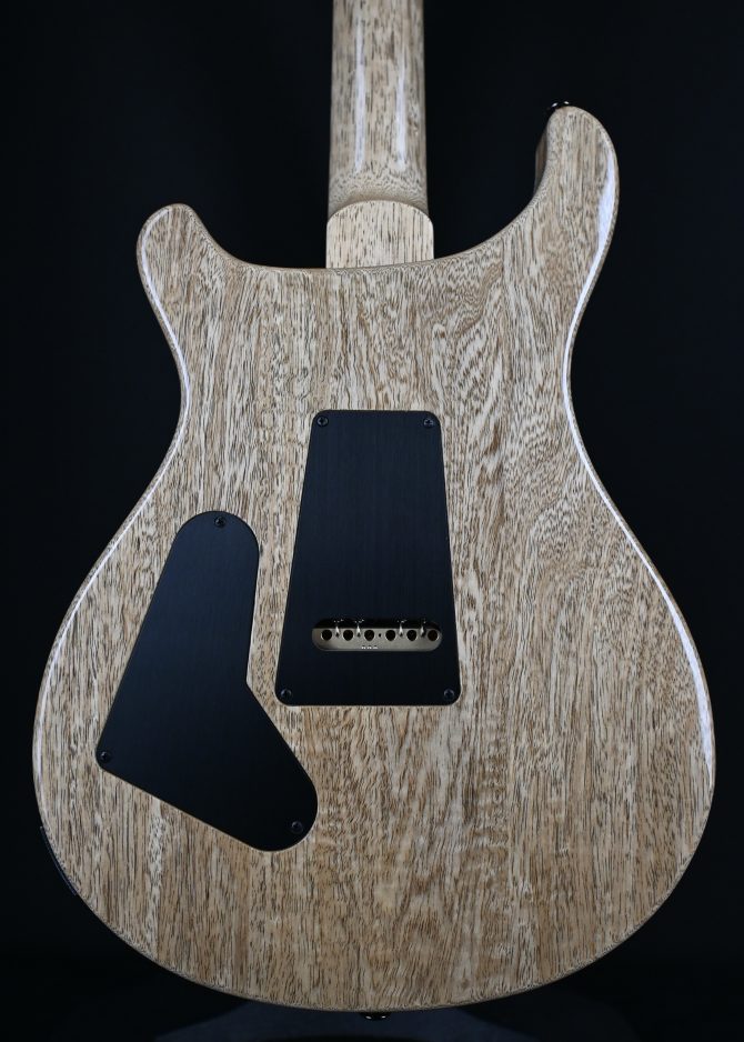 PRS Wood Library Custom 24 Semi-Hollow 10-Top Sage #012