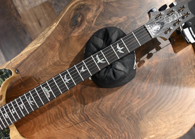 PRS Wood Library Custom 24 Semi-Hollow 10-Top Sage #012
