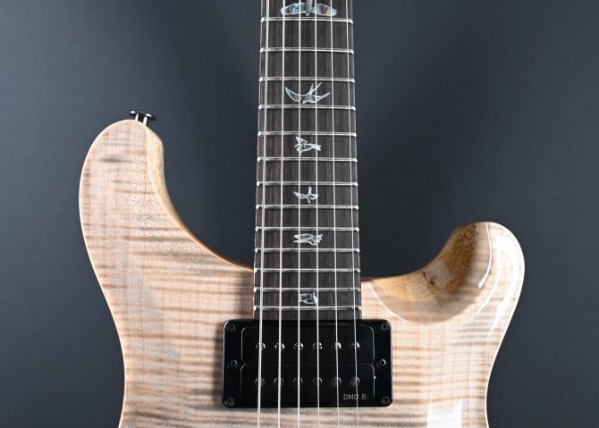 PRS Wood Library Custom 24 Semi-Hollow One-Piece Artist Grade Top Frostbite #013
