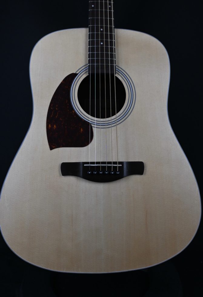 Ibanez PF50L-OPN Open Pore Natural Left Handed Acoustic #755