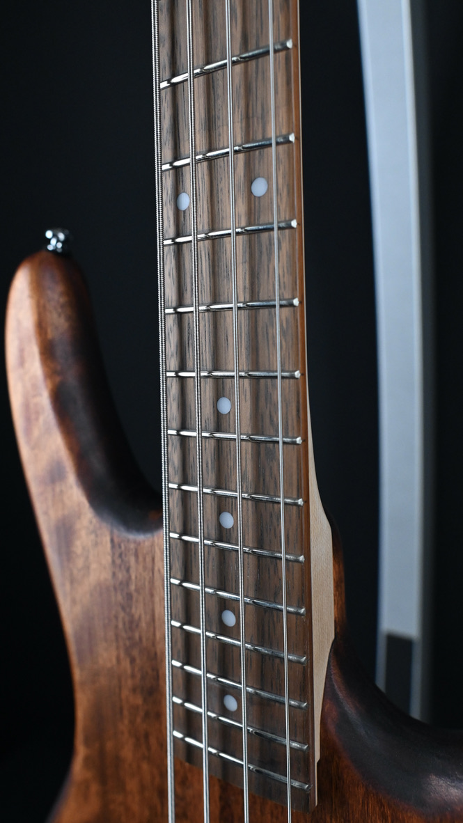 Ibanez Gio Series GSR100EX-MOL Mahogany Oil #663