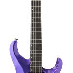 PRS Tekton “Floyd” Purple Royale *Pre-Order*