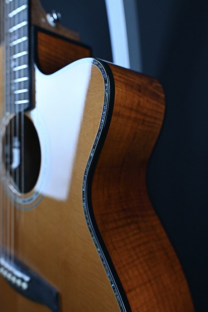 PRS SE Angelus A50E Black Gold #046