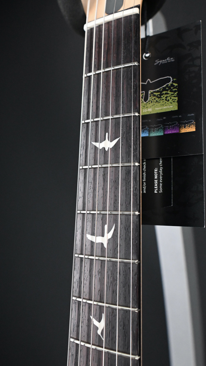 PRS Silver Sky Rosewood Black Plum Satin #242