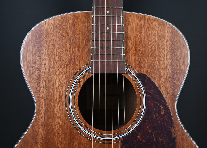 Ibanez PC54E-OPN Open Pore Natural #911