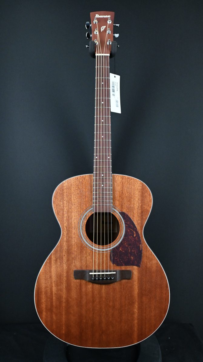 Ibanez PC54E-OPN Open Pore Natural #911