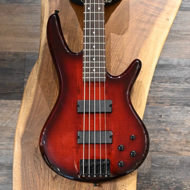 Ibanez Gio Series GSR205SM-CNB Charcoal Brown Burst #001