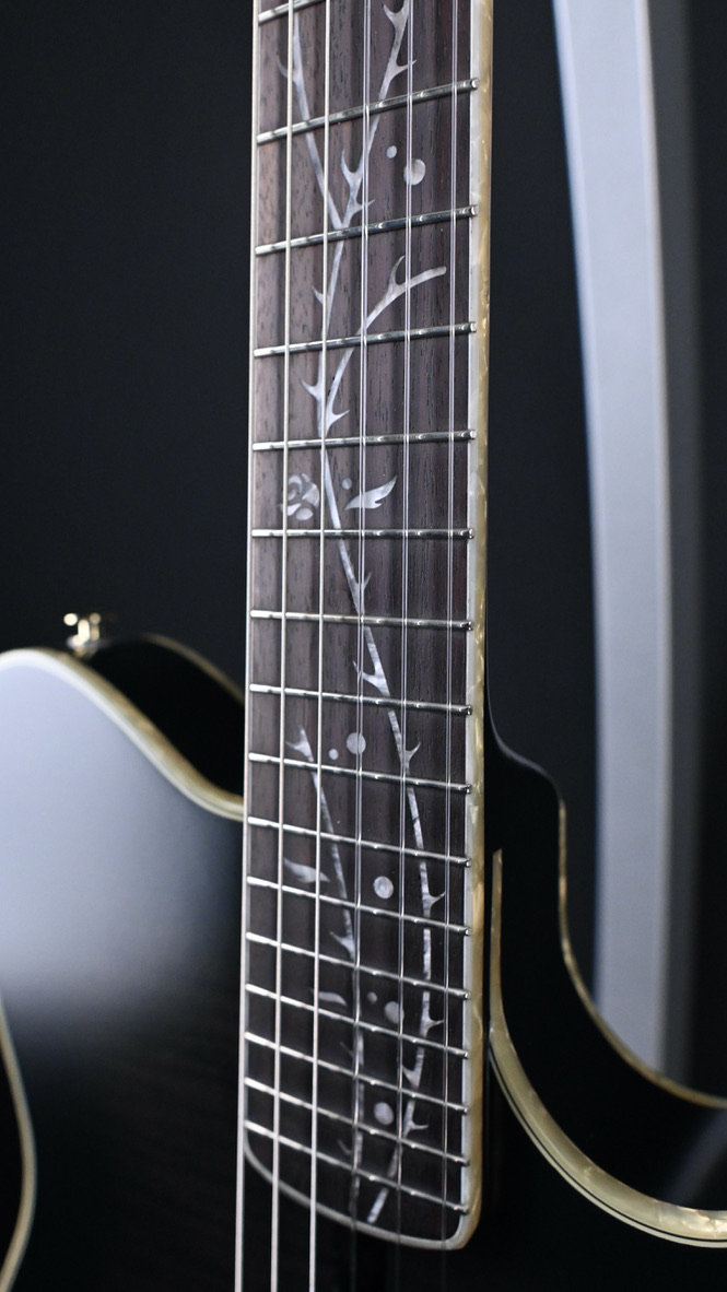Ibanez TOD20FMN-BFL Black Burst Fade Thinline Classical #378