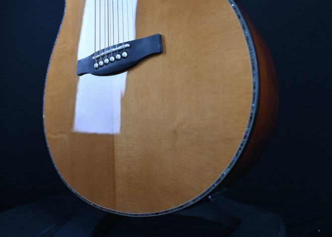 PRS SE Angelus A50E Black Gold #046