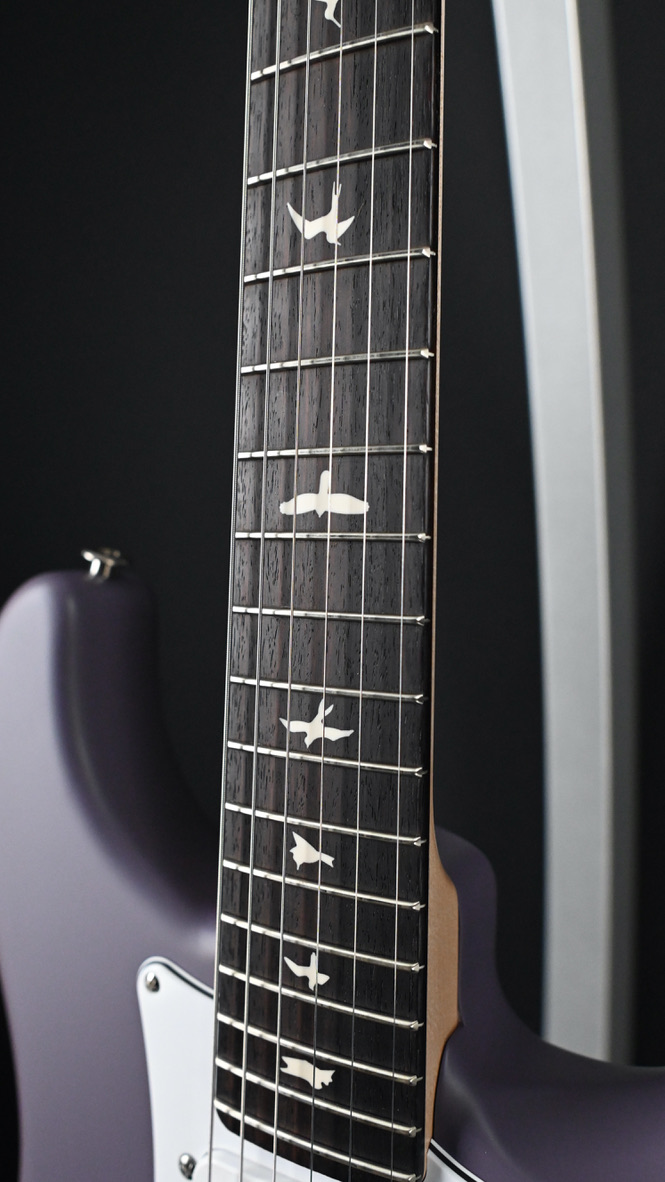 PRS Silver Sky Rosewood Black Plum Satin #242