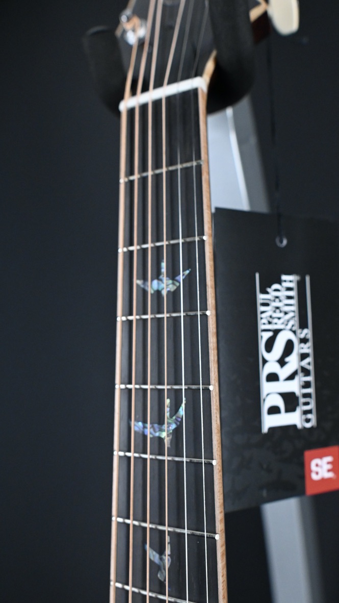 PRS SE Tonare T60E Natural #789