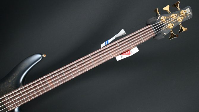 Ibanez SR305EDX-FDM 5-String Bass Guitar Frozen Gold Matte #131