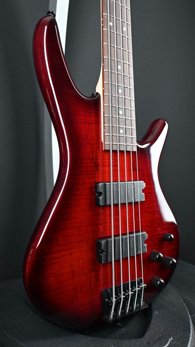 Ibanez Gio Series GSR205SM-CNB Charcoal Brown Burst #001