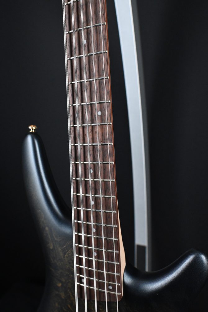 Ibanez SR305EDX-FDM 5-String Bass Guitar Frozen Gold Matte #131
