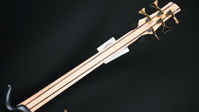 Ibanez SR305EDX-FDM 5-String Bass Guitar Frozen Gold Matte #131
