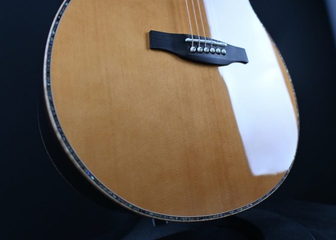 PRS SE Tonare T60E Natural #789