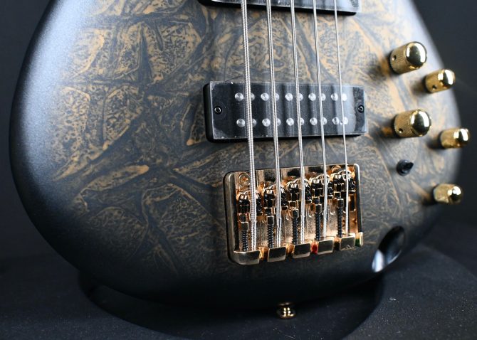 Ibanez SR305EDX-FDM 5-String Bass Guitar Frozen Gold Matte #131
