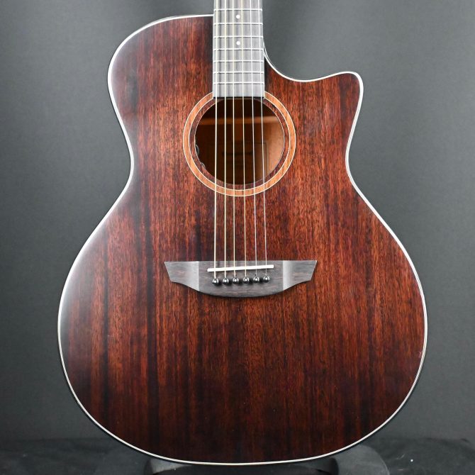 Orangewood Morgan Mahogany Live Acoustic Guitar 2025