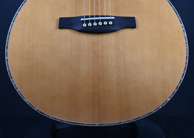 PRS SE Tonare T60E Natural #789