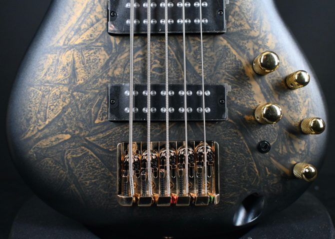 Ibanez SR305EDX-FDM 5-String Bass Guitar Frozen Gold Matte #131