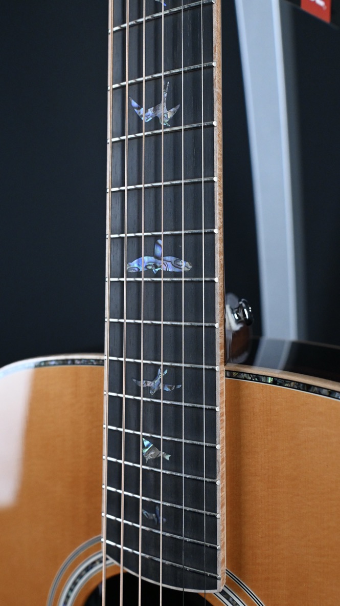 PRS SE Tonare T60E Natural #789