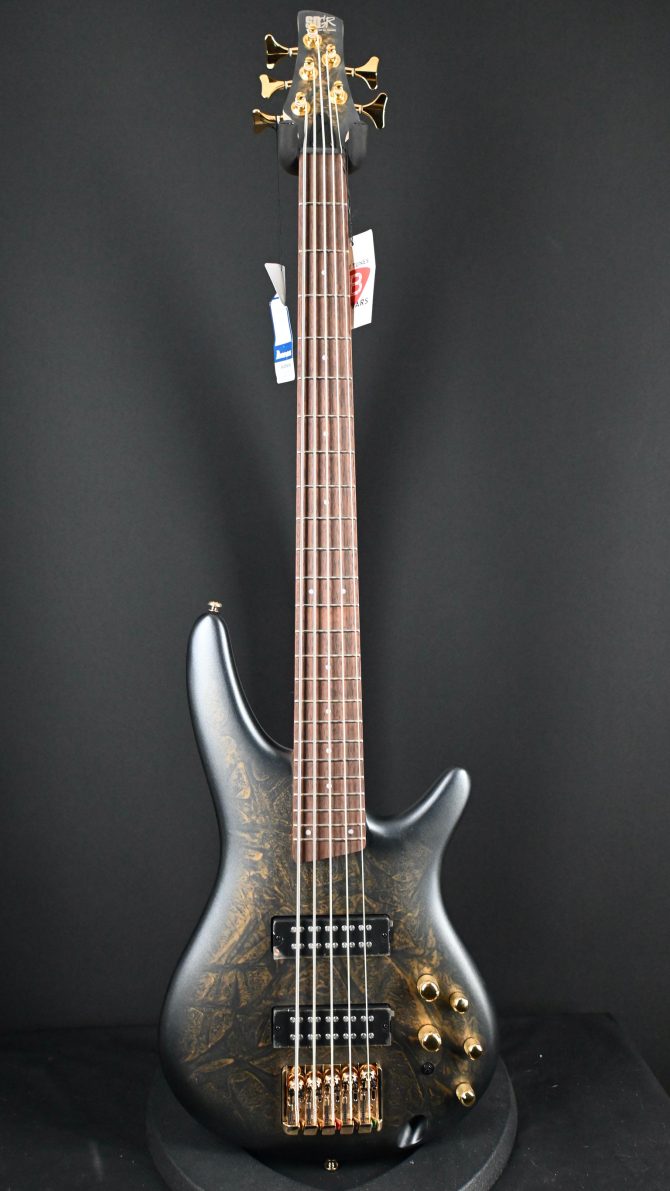 Ibanez SR305EDX-FDM 5-String Bass Guitar Frozen Gold Matte #131